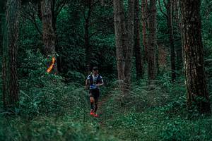 BIB: 
                            <button type="button" onclick="openModal(25236170)" class="btn btn-primary btn-sm float-right btn-popup" data-toggle="modal" data-target=".modal-high-quality">
                        <i class="fas fa-shopping-cart"></i> Add to Cart
                    </button>
                                            <button type="button" onclick="isThisMe(25236170, true)" class="btn btn-success btn-sm float-right btn-popup btn-isme hidden" data-toggle="tooltip" data-placement="bottom" title="นี่คือรูปของคุณใช่ไหม คลิกที่นี่เพื่อเอาเข้าอัลบั้ม">
                        <i class="fas fa-plus"></i> Add to album
                    </button>
                    <button type="button" onclick="isThisMe(25236170, false)" class="btn btn-warning btn-sm float-right btn-popup btn-isnotme hidden">
                        <i class="fas fa-ban"></i> Remove from album
                    </button>